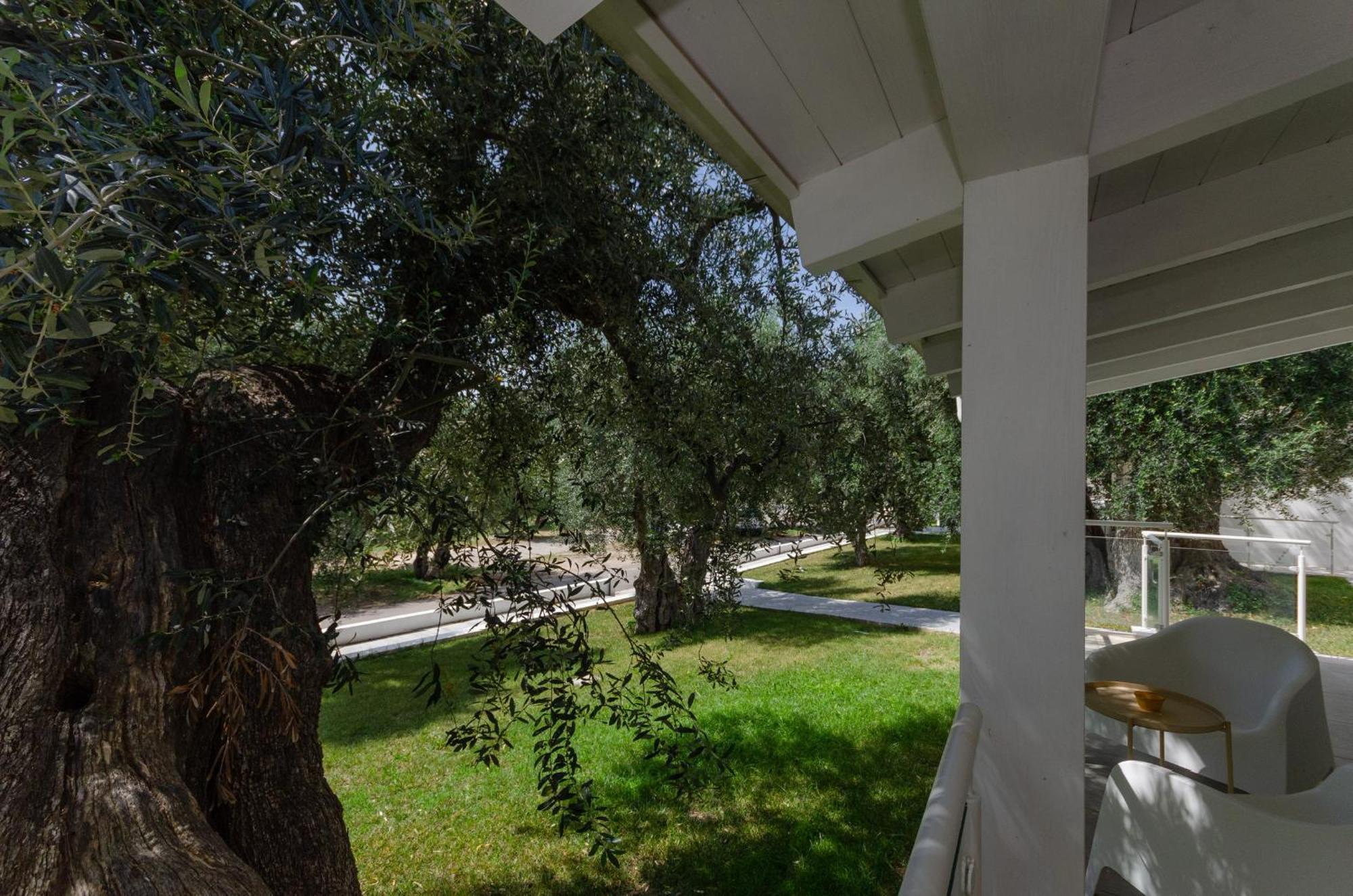 Agriturismo Giorgio 마티나타 외부 사진