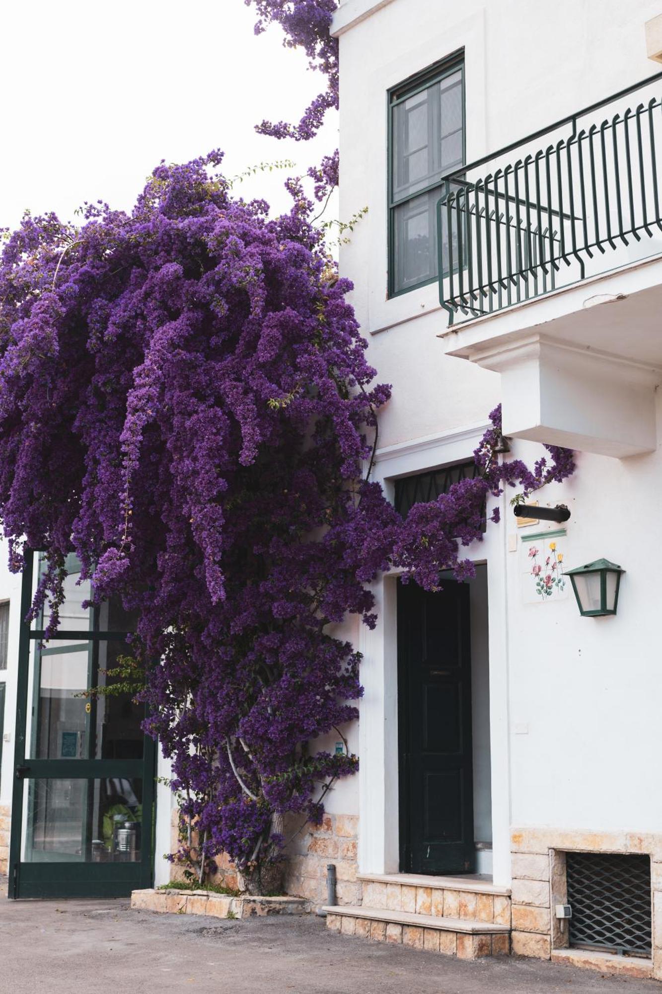 Agriturismo Giorgio 마티나타 외부 사진