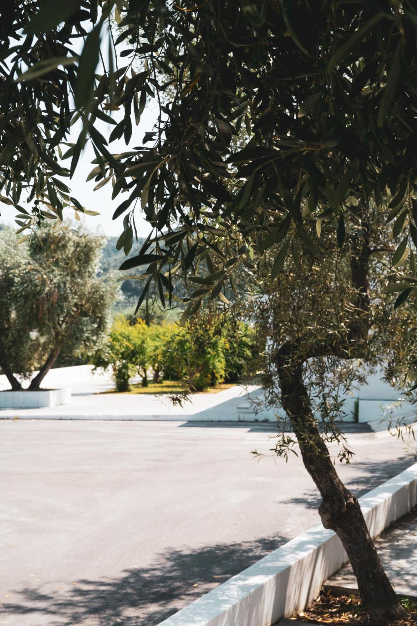 Agriturismo Giorgio 마티나타 외부 사진