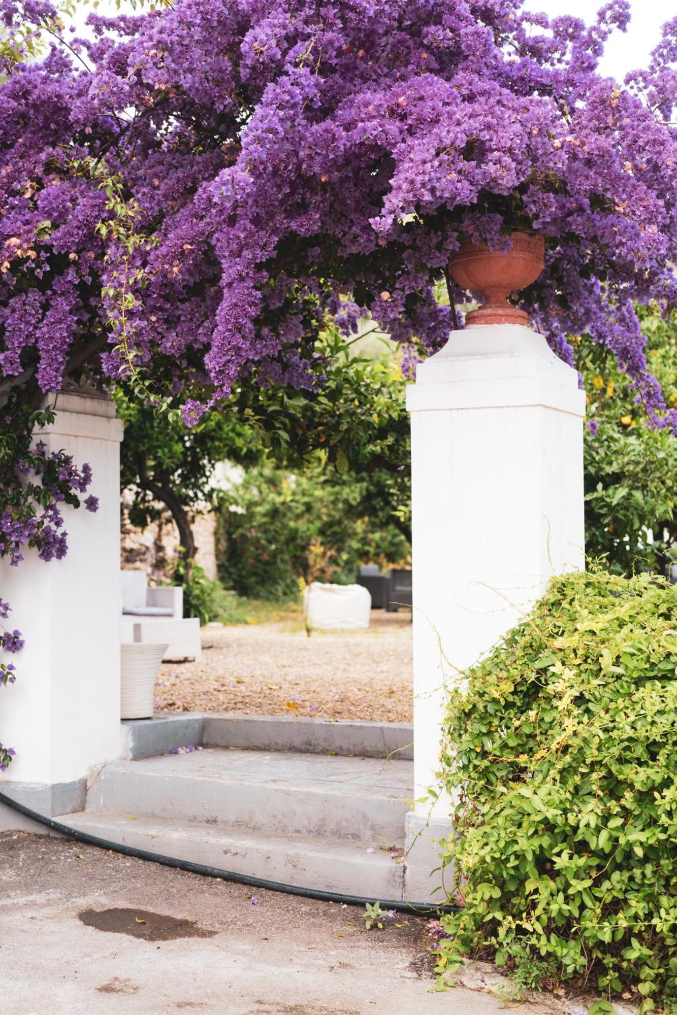 Agriturismo Giorgio 마티나타 외부 사진