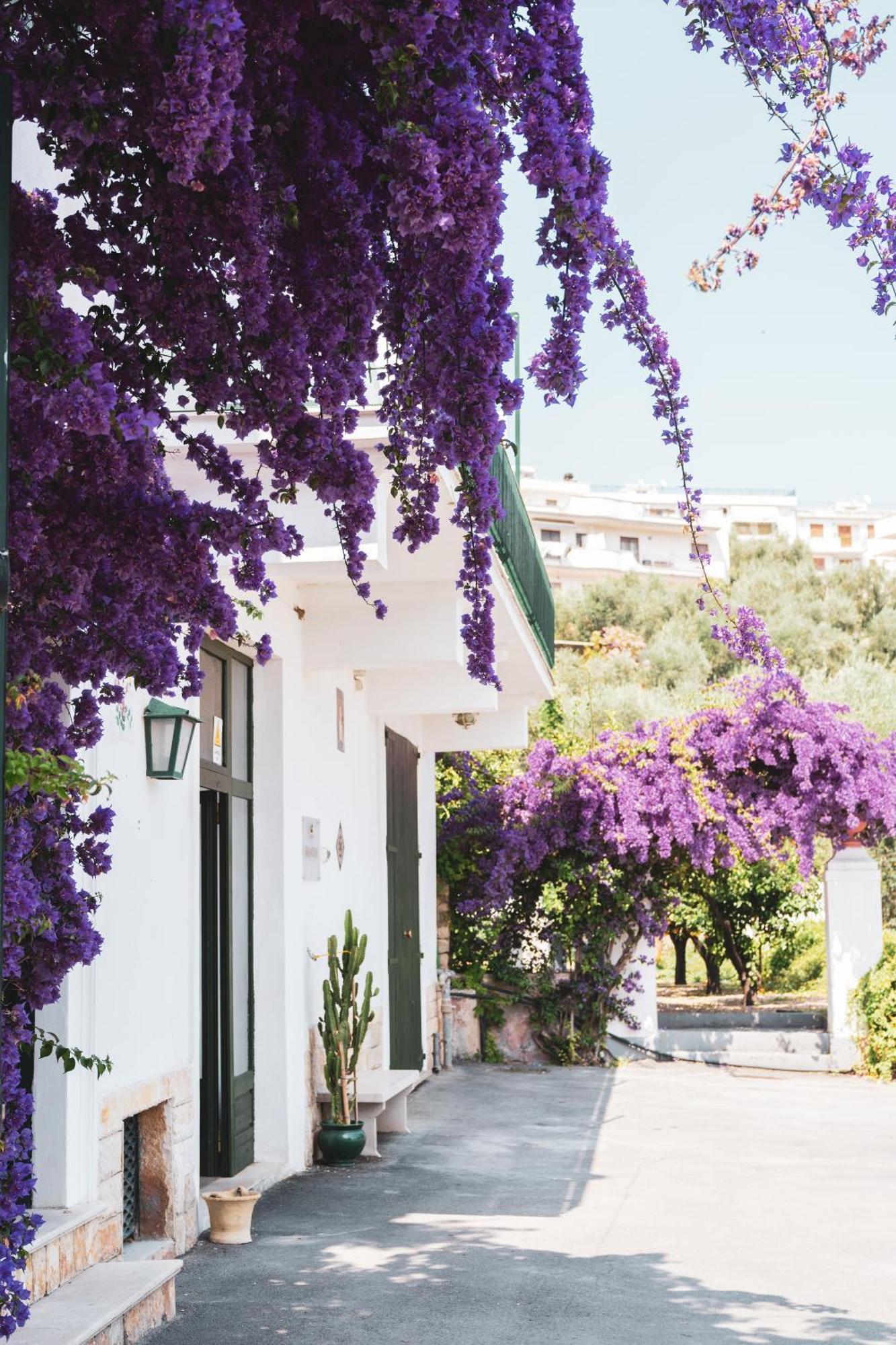 Agriturismo Giorgio 마티나타 외부 사진