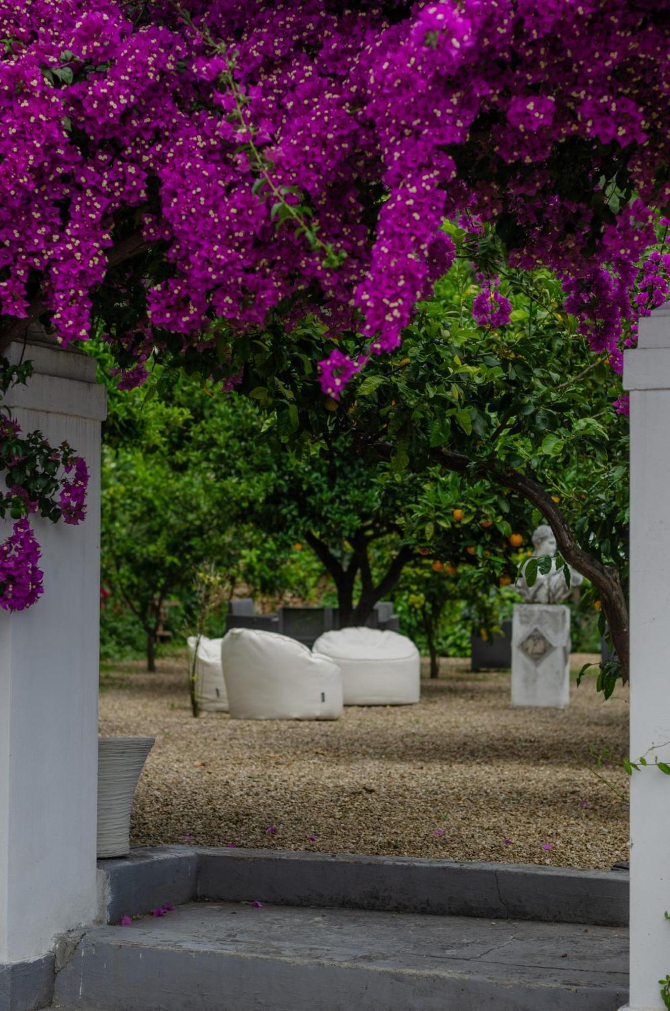 Agriturismo Giorgio 마티나타 외부 사진